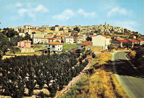 Cartolina Palata Panorama