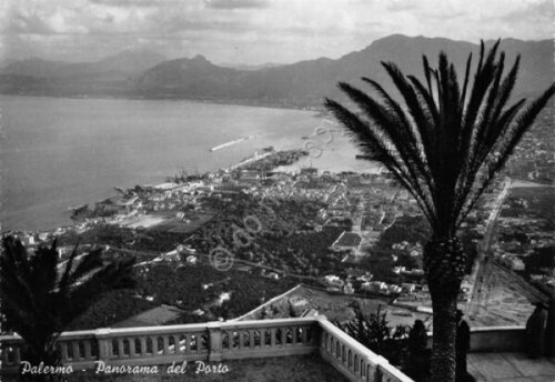 Cartolina Palermo Panorama e porto Timbro Obbligazioni 1951