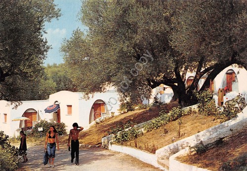 Cartolina Palinuro Camping Villaggio Ulivi animata anni '80