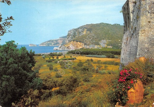 Cartolina Palinuro Valle e collina di Molpa 1965