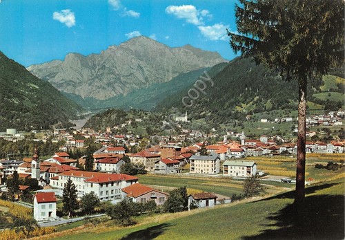 Cartolina Paluzza Carnia Panorama