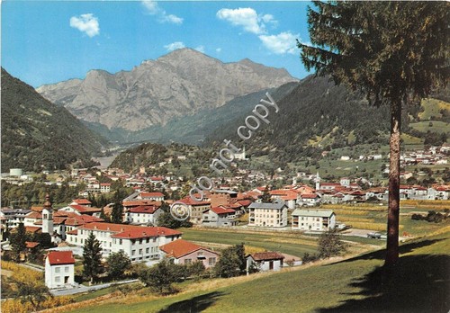 Cartolina Paluzza Panorama