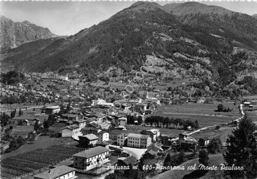 Cartolina Paluzza Panorama con Monte Paularo 1953