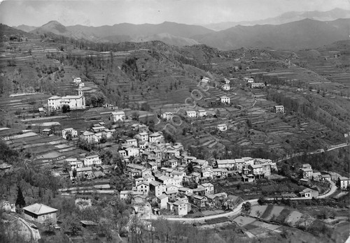 Cartolina Pannesi panorama 1953
