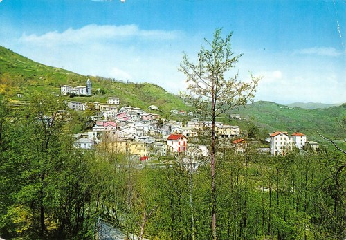 Cartolina Pannesi panorama parziale case 1973