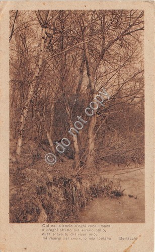 Cartolina Panorama lungofiume Poesia Bertacchi 1929