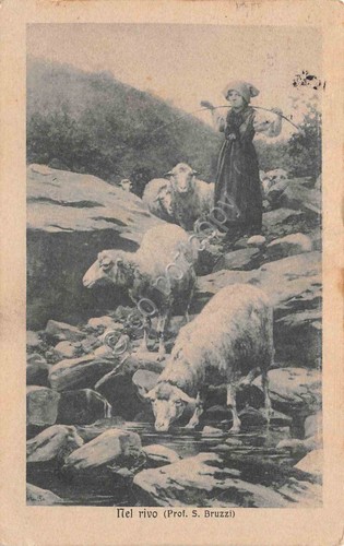 Cartolina pascolo con pastorella Nel Rivo Prof S. Bruzzi 1917