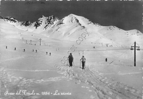 Cartolina Passo del Tonale Sciovia sciatori 1958 (Trento)