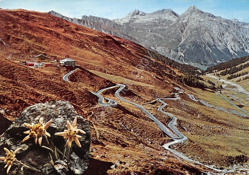 Cartolina Passo dello Spluga strada Statale sul versante Svizzero
