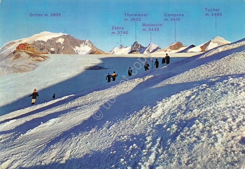 Cartolina Passo dello Stelvio Pirovano Università dello sci piste 1970
