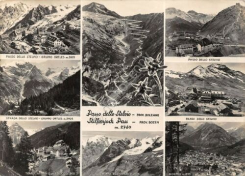 Cartolina Passo dello Stelvio vedute varie