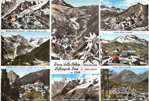 Cartolina Passo dello Stelvio vedute varie Stella Alpina (Bolzano)