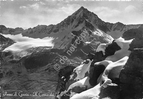 Cartolina Passo di Gavia Corno tre Signori anni '50 (Brescia)