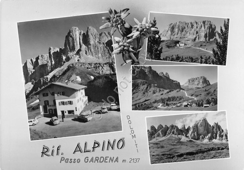 Cartolina Passo Gardena Vedute Rifugio Alpino Stelle alpine (Bolzano)