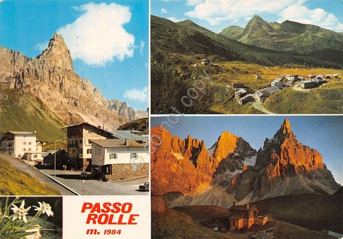 Cartolina Passo Rolle Vedute stella alpina 1978 (Trento)
