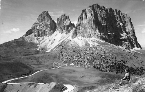 Cartolina Passo Sella Gruppo del Sassolungo 1955