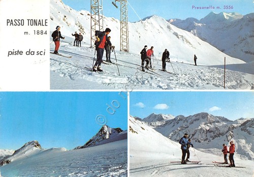 Cartolina Passo Tonale piste di sci vedute varie timbro Conca …