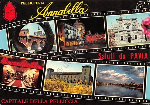 Cartolina Pavia vedute varie Annabella