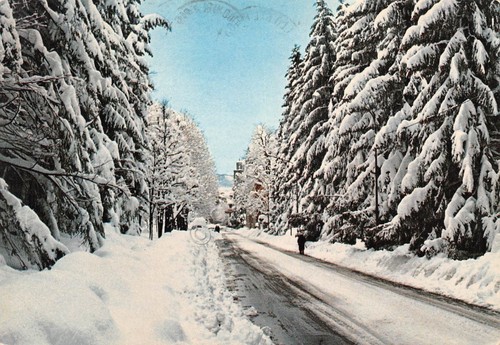 Cartolina Pavullo nel Frignano entrata in paese Via Giardini 1987