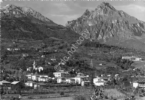 Cartolina Pedavena Panorama 1960 Foto Ghedina