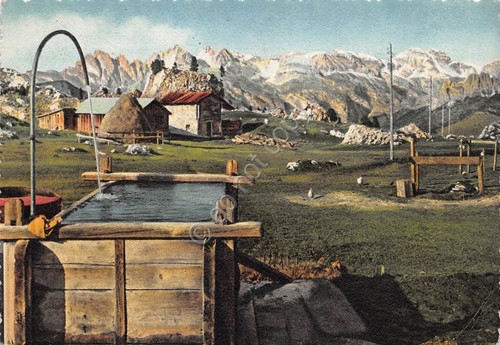 Cartolina Pelugo panorama parziale fontana monti baite 1958