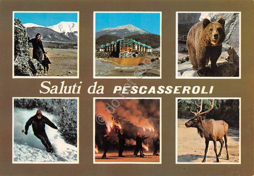 Cartolina Pescasseroli vedute varie città animali sci Abruzzo anni '70