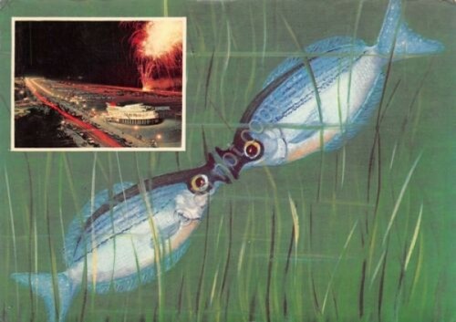 Cartolina Pesce Baciuccone 1975