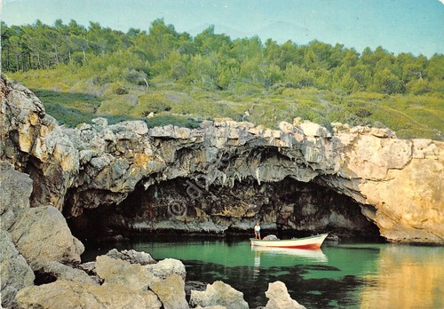 Cartolina Peschici Gargano Grotta delle Ondine e Pineta barca animata …