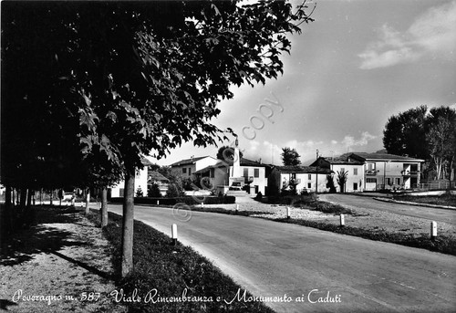 Cartolina Peveragno Viale Rimembranze 1988 (Cuneo)