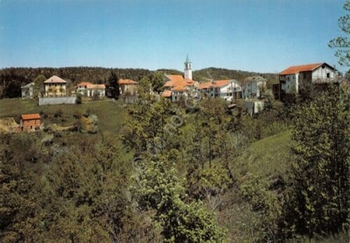 Cartolina Piancastagna di Ponzone panorama