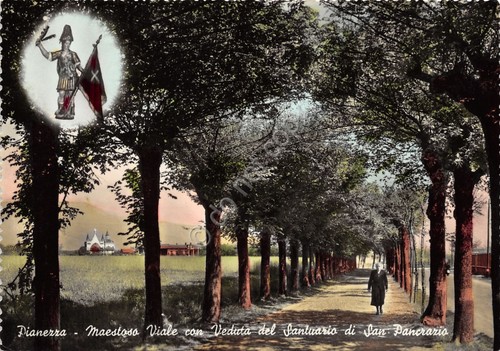 Cartolina Pianezza Viale con veduta al Santuario di San Pancrazio …