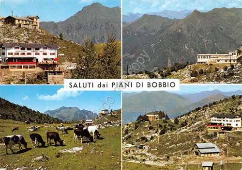 Cartolina Piani di Bobbio 4 vedute panorama mucche rifugio alpino …