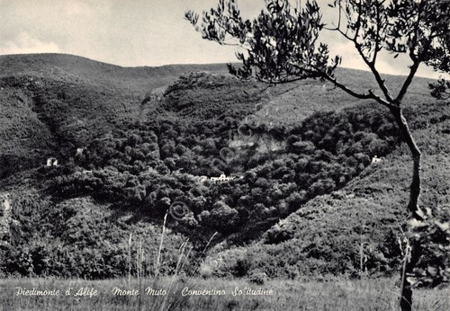Cartolina Piedimonte d'Alfie Monte Muto Conventino Solitudine anni '50