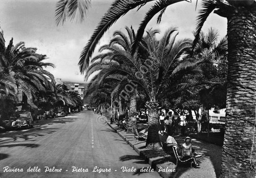 Cartolina Pietra LIgure Viale delle Palme animata 1956 timbro Pietra …