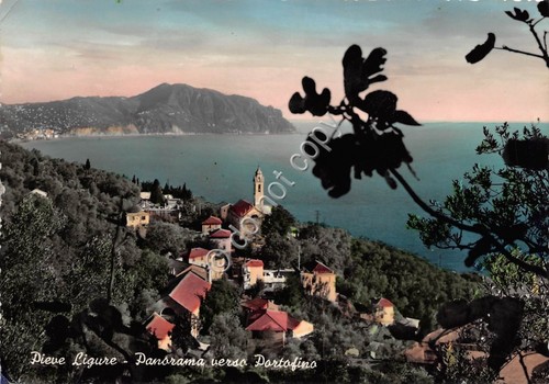 Cartolina Pieve Ligure Panorama verso Portofino 1959