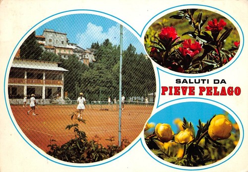 Cartolina Pieve Pelago Vedutine campo da tennis