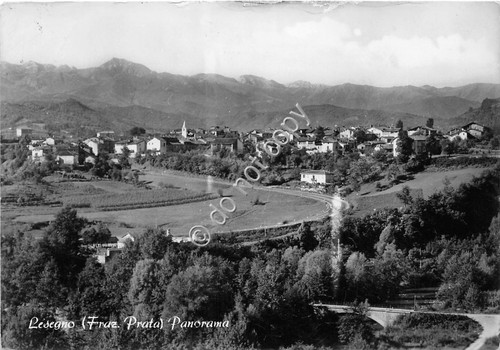 Cartolina Pievepelago panorama
