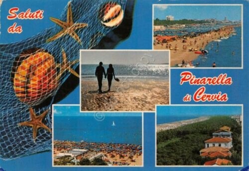 Cartolina Pinarella di Cervia vedute conchiglie 1978 (Ravenna)