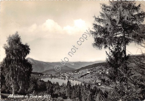 Cartolina Pinè Altipiano 1959