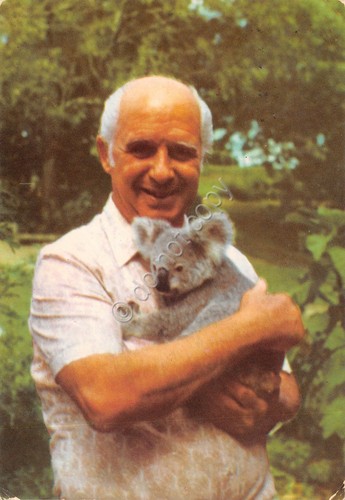 Cartolina Pioltello Museo del mare coralli d'Australia autografo Mario Pugliese