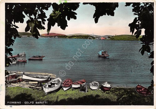 Cartolina Piombino Golfo Baratti barche 1953