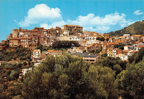 Cartolina Pisciotta Marina Panorama e case anni '70