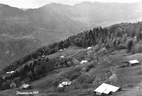 Cartolina Planezza Panorama con case 1965