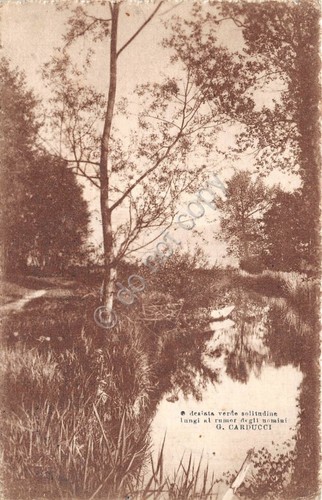 Cartolina poesia Carducci bosco e fiume anni '10 (Altre cartoline)