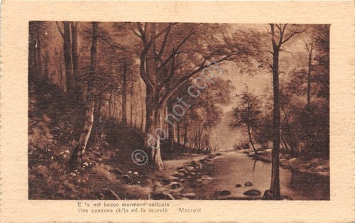 Cartolina Poesia Mazzoni bosco e ruscello anni '20 (Altre cartoline)