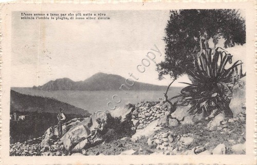 Cartolina Poesia panorama animata 1924