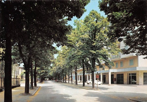 Cartolina Poggio Rusco Via Trento Trieste