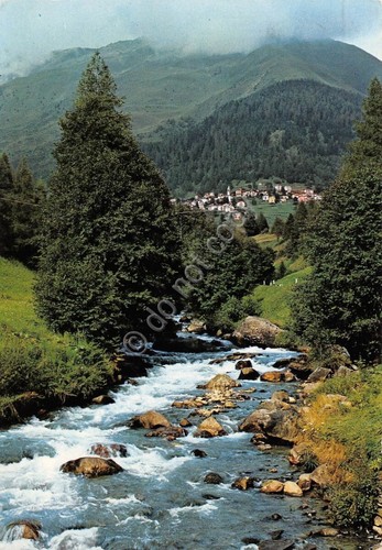 Cartolina Ponte di Legno Frazione Pezzo e torrente Frigidollo 1973