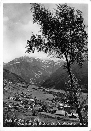 Cartolina Ponte di Legno panorama con gruppo Castellaccio (Sondrio)