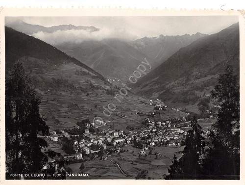 Cartolina Ponte di Legno Panorama paese dall'alto 1952